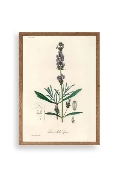 Yaprak Ahşap Çerçeveli Tablo 50 x 70 ürün görseli 1