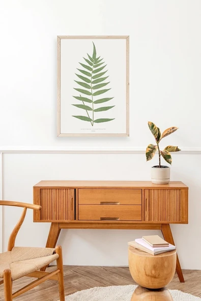 Polypodium Franxinifolium Ahşap Çerçeveli Tablo 30 x 42 - Resim 2