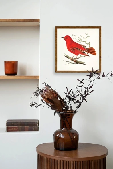 Kuş Ahşap Çerçeveli Tablo 50 x 50 - Resim 3