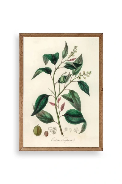 Yaprak Ahşap Çerçeveli Tablo 23 x 30 ürün görseli 1