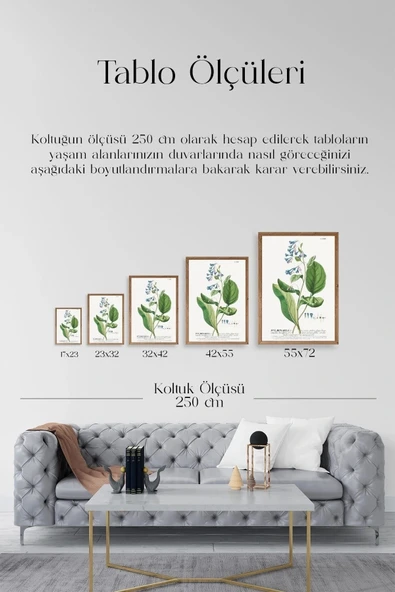 Stupell Ahşap Çerçeveli Tablo 30 x 42 - Resim 5