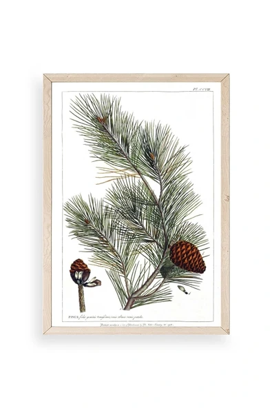 Çam Ahşap Çerçeveli Tablo 30 x 42 ürün görseli 1