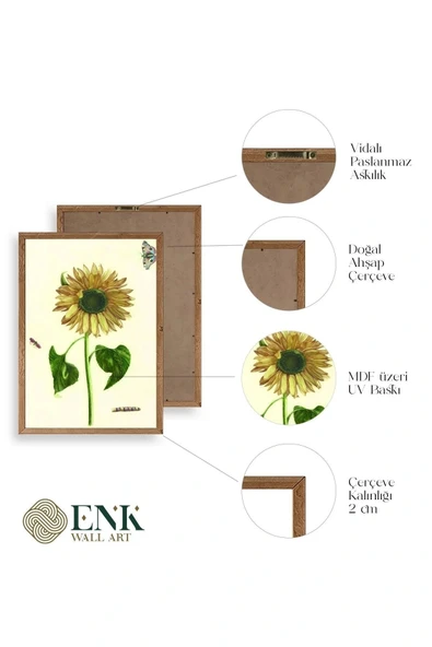 Ayçiçeği Ahşap Çerçeveli Tablo 50 x 70 - Resim 4