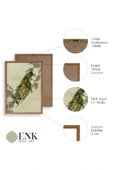Kuş Ahşap Çerçeveli Tablo 50 x 70 - Resim 4