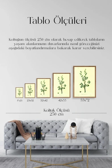 Yapraklar Ahşap Çerçeveli Tablo 30 x 42 - Resim 5