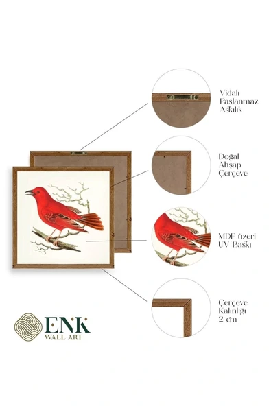 Kuş Ahşap Çerçeveli Tablo 50 x 50 - Resim 4