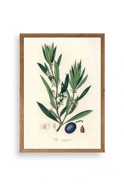 Yaprak Ahşap Çerçeveli Tablo 30 x 42 ürün görseli 1