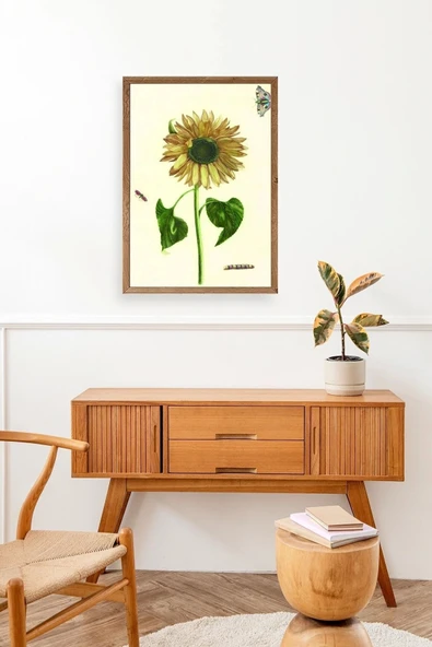 Ayçiçeği Ahşap Çerçeveli Tablo 50 x 70 - Resim 3