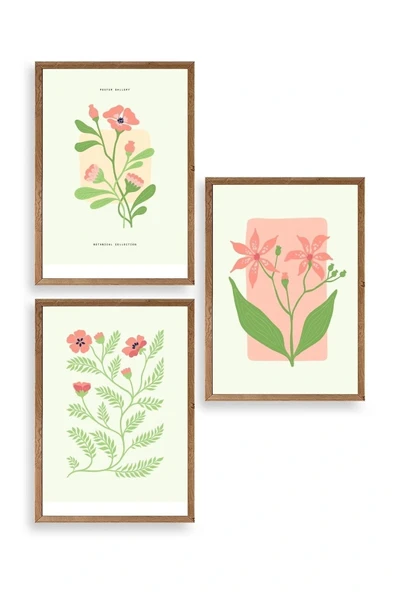 Botanik Üçlü Ahşap Çerçeveli Tablo 50 x 70 ürün görseli 1