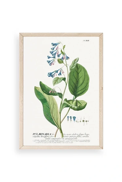 Stupell Ahşap Çerçeveli Tablo 50 x 70 ürün görseli 1