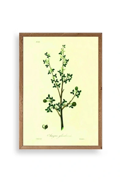 Yapraklar Ahşap Çerçeveli Tablo 30 x 42 ürün görseli 1