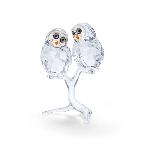 5493722 Swarovski Crystal Nature Owl Couple