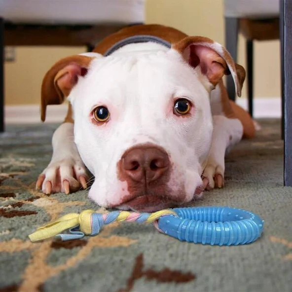 Periboia Dayanıklı Köpek Diş Kaşıyıcı Ve Çiğneme Oyuncağı - Resim 4