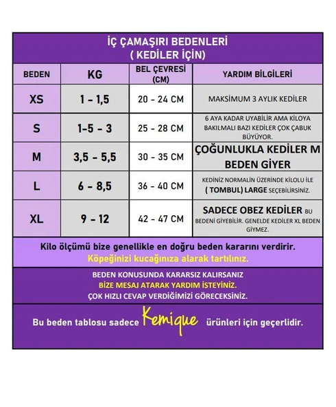 Teddie Dişi Kedi Regl Külotu | Kedi Donu | Kedi İç Çamaşırı | Ayarlanabilir Bağcıklı | Küçük Irklar İçin - Resim 3