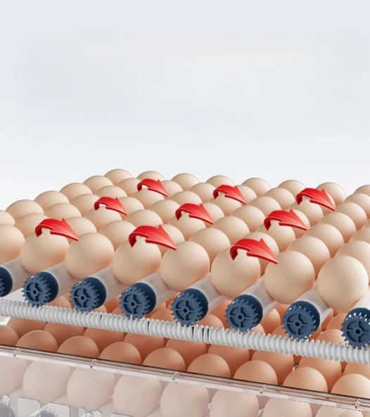 Tam Otomatik 120 Yumurta Kapasiteli Kuluçka Makinesi - Civciv Kaz Hindi Ördek İçin Wifi Kameralı Yedek Motorlu Set - Resim 8