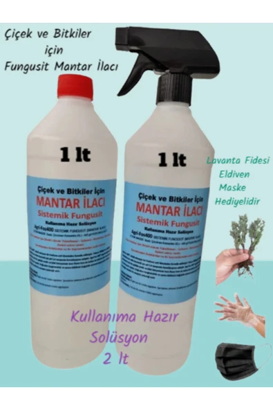 (2 LT) Çiçek Bitkiler için Fungust Mantar Solüsyonu ürün görseli 1
