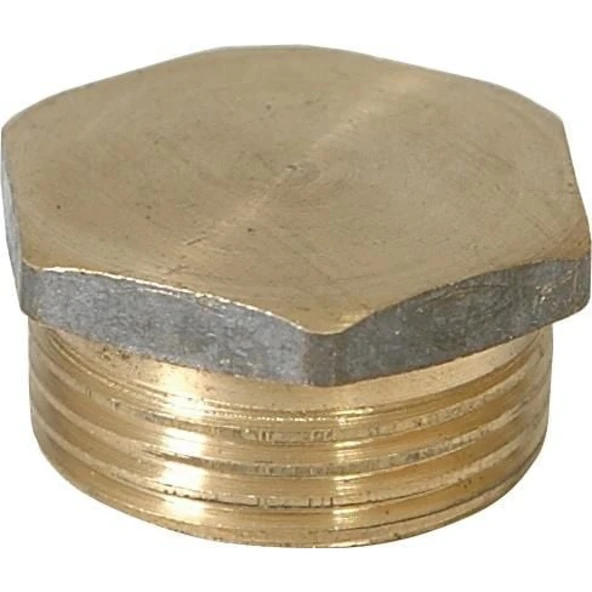 Sarı Körtapa 3/8 - Resim 3