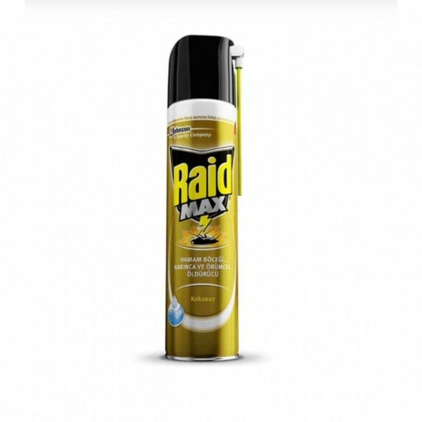 RAİD MAX Hamam böceği, Karınca ve Örümcek Öldürücü 300 Ml - 1