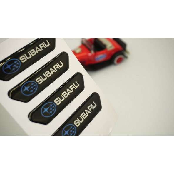 Subaru Logo Kapı Kenarı Koruma Metalize Damla Desen 3M Band