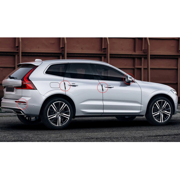 Citroen Logo Kapı Kenarı Koruma Metalize Damla Desen 3M Band - 7