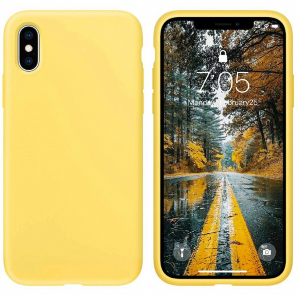 iPhone X LANSMAN YENİ NESİL KILIF - 5