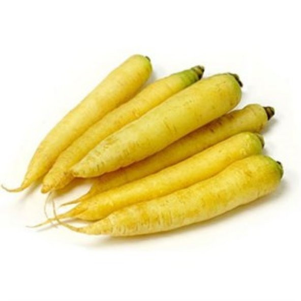 Nadir İthal Sarı Havuç Tohumu Ekim Seti - 2
