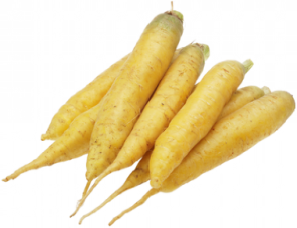 Nadir İthal Sarı Havuç Tohumu Ekim Seti - 3