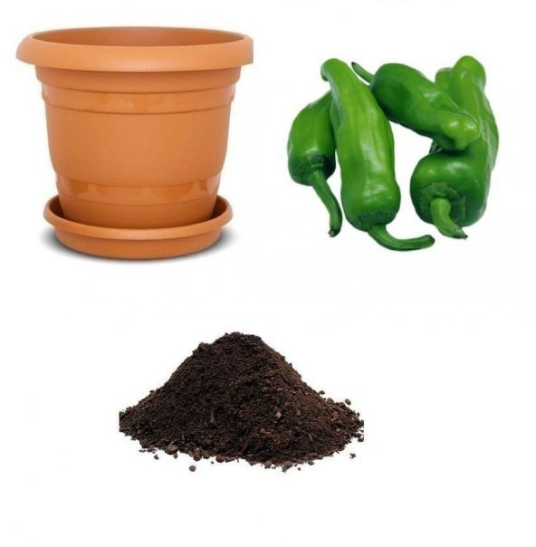 Meşhur Köy Biberi Tohumu Ekim Seti