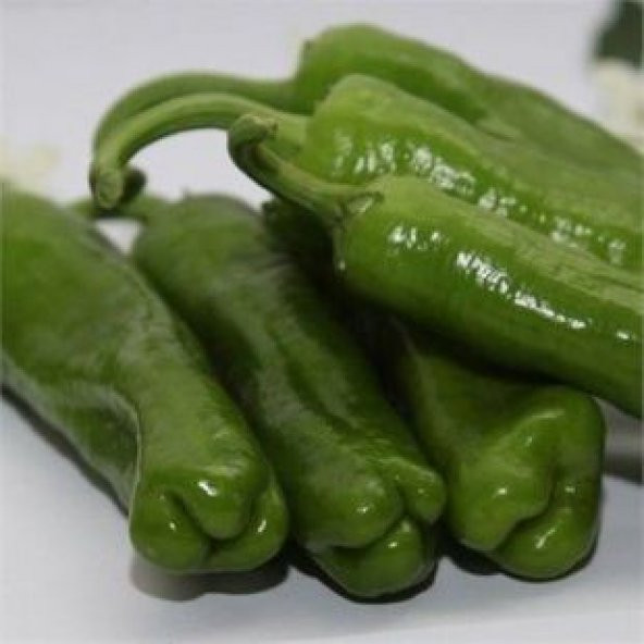 Meşhur Mazamort Biber Tohumu Ekimi Seti - 4