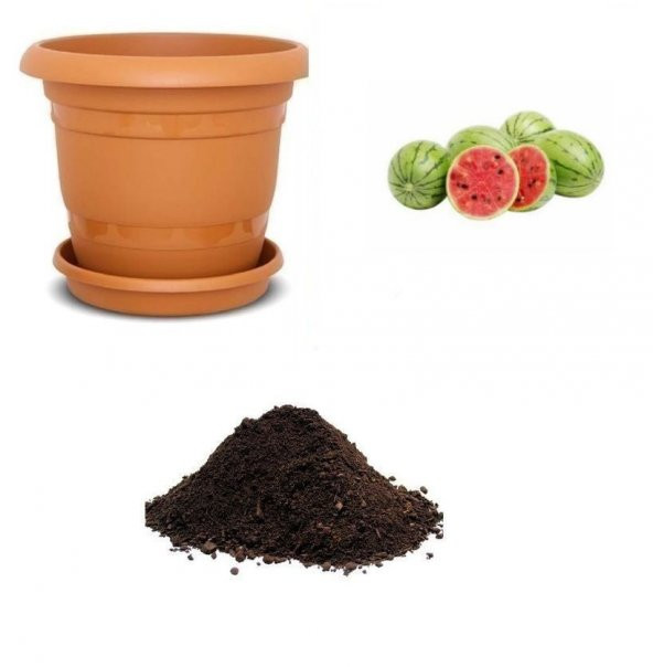 Baby Karpuz Tohumu Ekim Seti ürün görseli