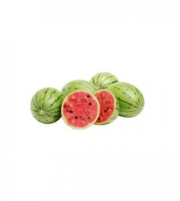 Baby Karpuz Tohumu Ekim Seti - Resim 2