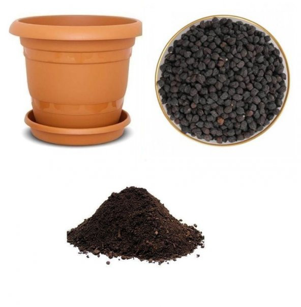 İthal Siyah Nohut Tohumu Ekim Seti