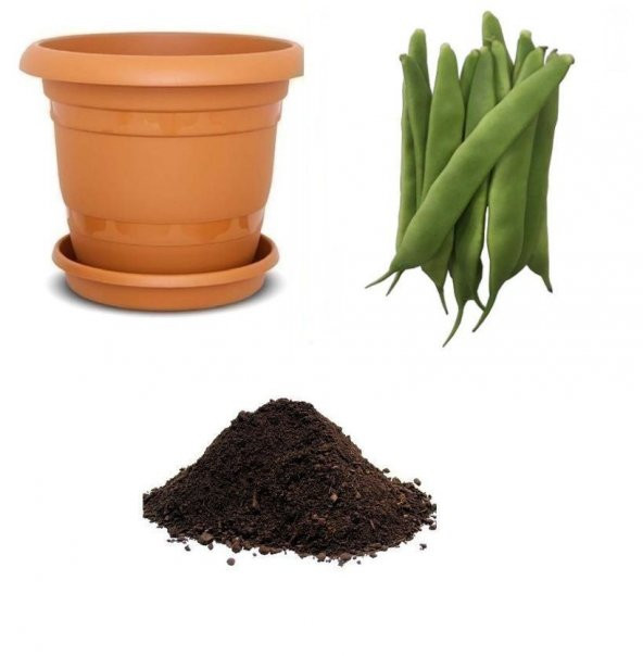 İstanbul Ayşe Kadın Fasulye Tohumu Ekim Seti ürün görseli