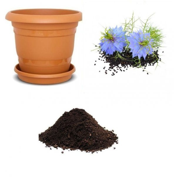 Çörekotu Tohumu Ekim Seti