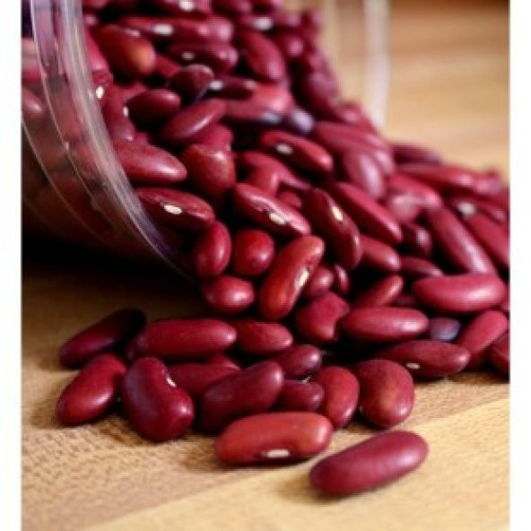 İthal Kırmızı Meksika Fasulyesi Tohumu Ekim Seti - 3
