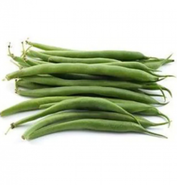 Erkenci Eymen Fasulye Tohumu Ekim Seti - 2