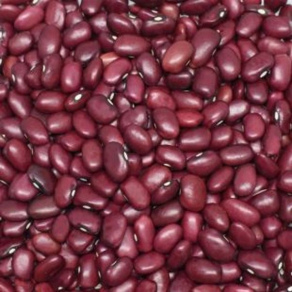 İthal Kırmızı Meksika Fasulyesi Tohumu Ekim Seti - 5