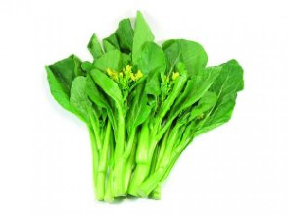 İthal Çin Choy Sum Tohumu Ekim Seti - 2
