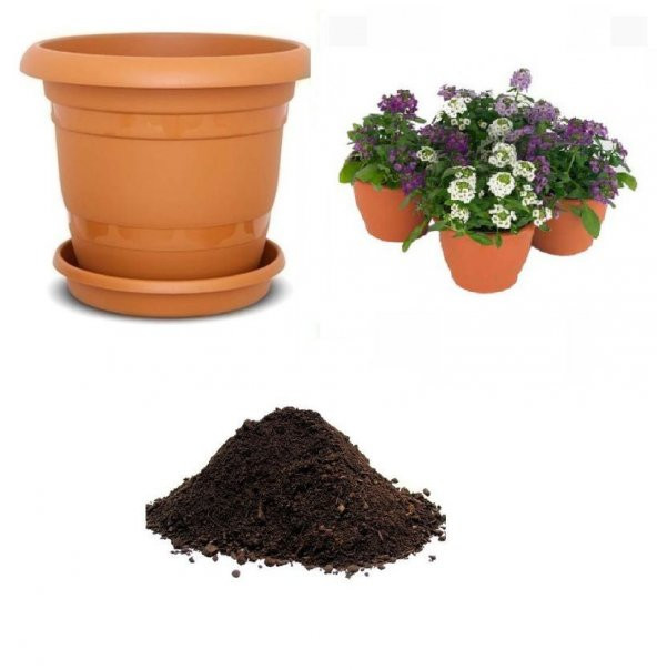 Karışık Ballıca Çiçeği Tohumu Ekim Seti