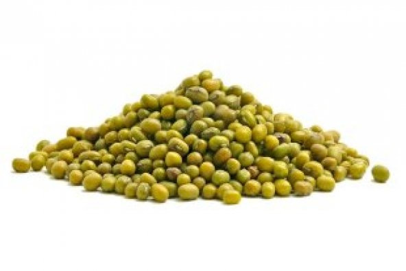 İthal Mung Bean Fasulye Tohumu Ekim Seti - 2
