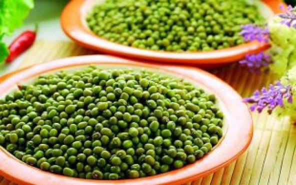 İthal Mung Bean Fasulye Tohumu Ekim Seti - 5