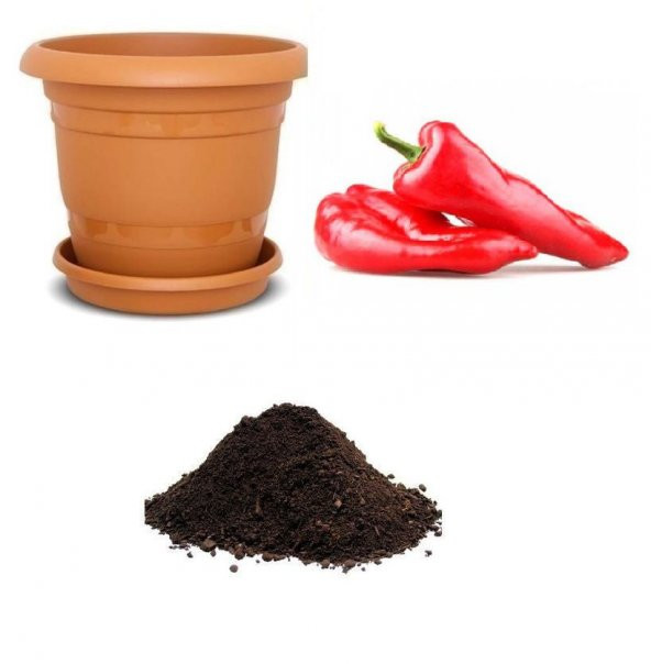 Tatlı Kırmızı Kapya Biberi Tohumu Ekim Seti