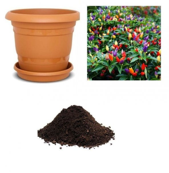 Yediveren Acı Kıbrıs Biberi Tohumu Ekim Seti