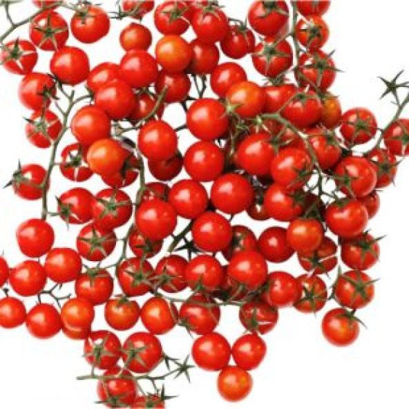 Bezelye Domates Tohumu Ekim Seti - 2