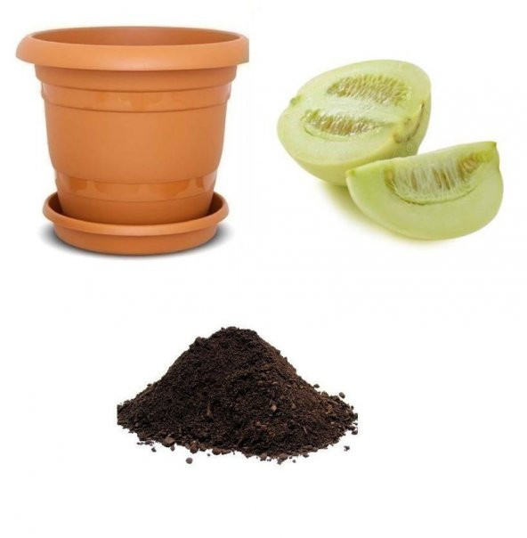 İthal Elma Kavunu Tohumu Ekim Seti ürün görseli