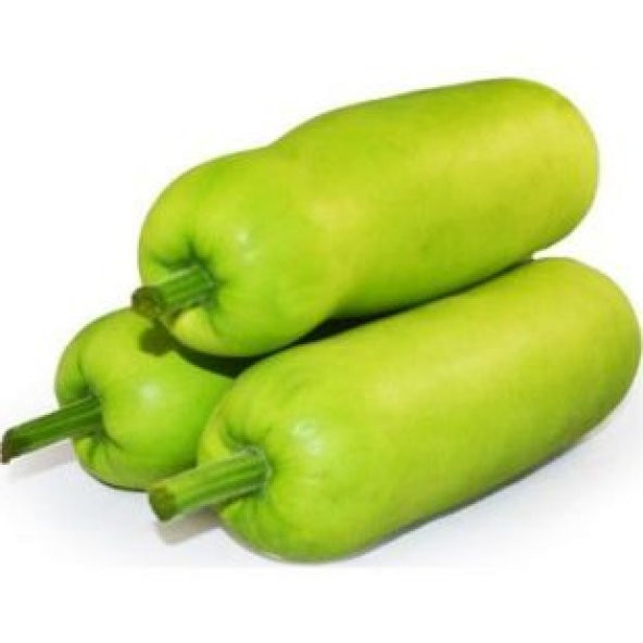 Nadir Çin Kavunu Tohumu Ekim Seti - Resim 2