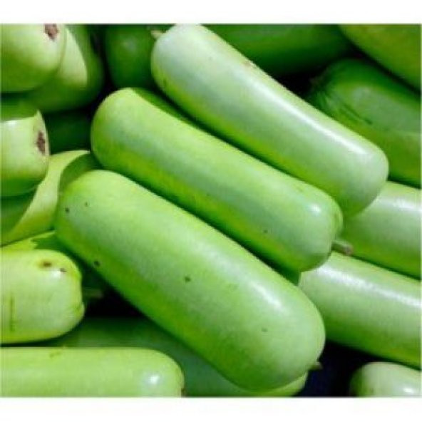 Nadir Çin Kavunu Tohumu Ekim Seti - Resim 3