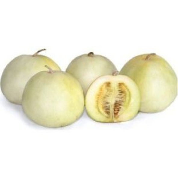 İthal Apple Melon Tohumu Ekim Seti - Resim 3