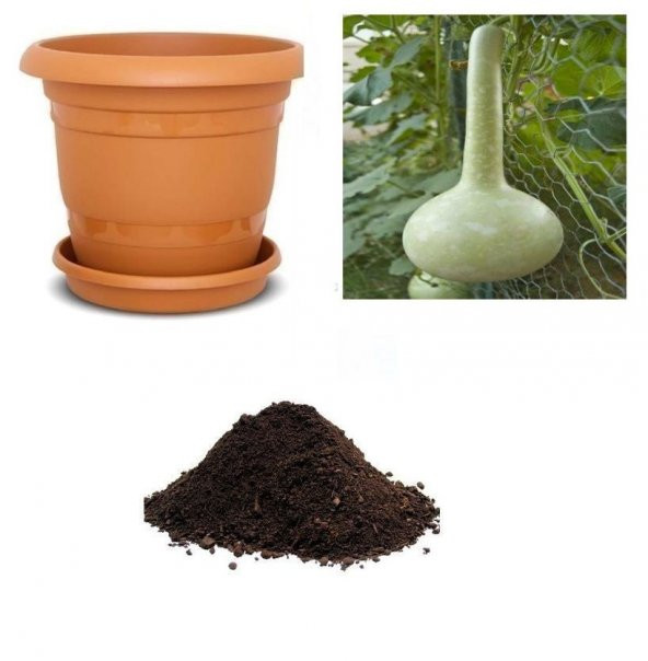 Nadir Süs Kabağı Tohumu Ekim Seti