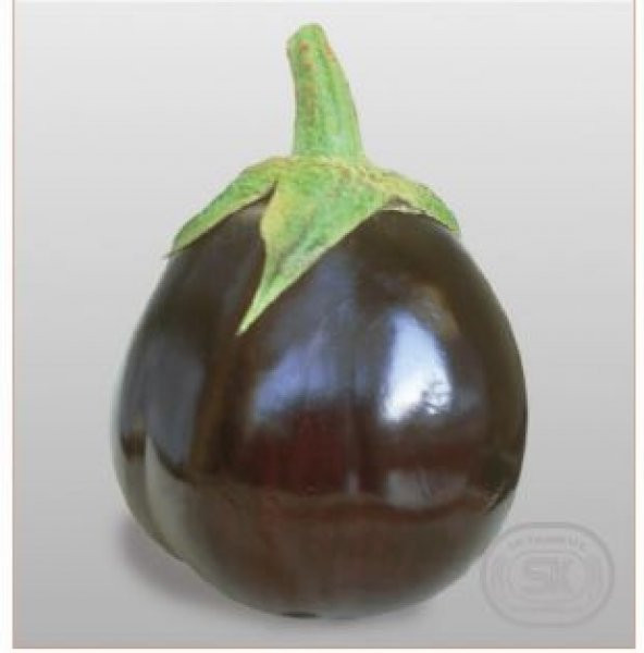 İri Topan Dolmalık Patlıcan Tohumu Ekim Seti - 3